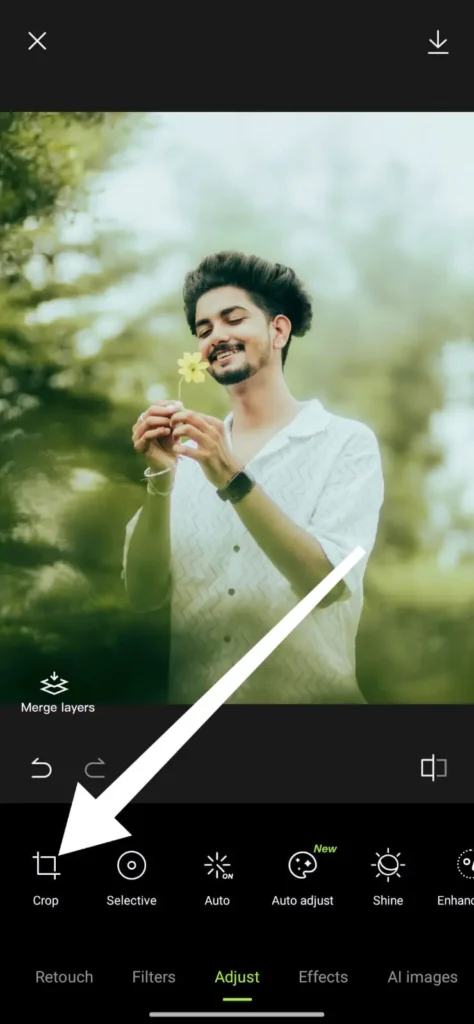 hypic ai expand: select crop option