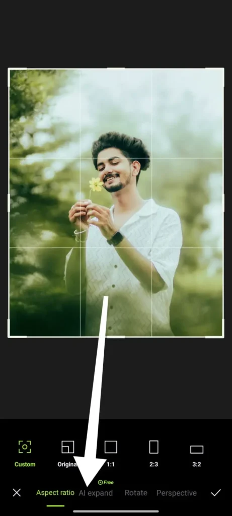 hypic ai expand: after selection crop, then select AI Expand tool